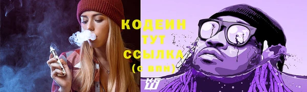прущий лед Елизово