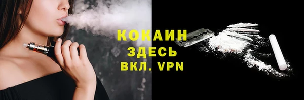 кокс Ельня