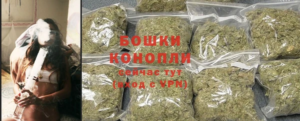 кокс Ельня