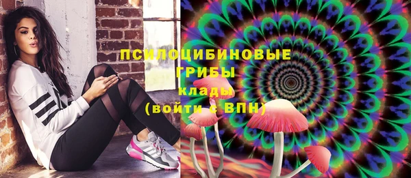 кокс Ельня
