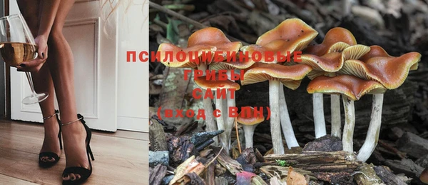 прущий лед Елизово