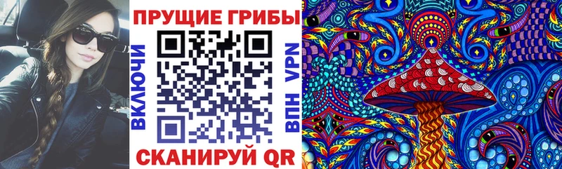 Галлюциногенные грибы Psilocybine cubensis  Белоярский 